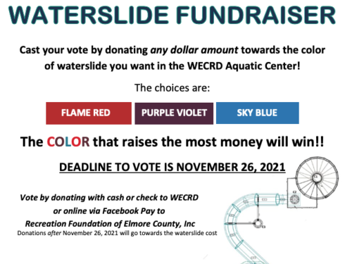 WECRD Waterslide Fundraiser – Accepting Donations through Nov 26